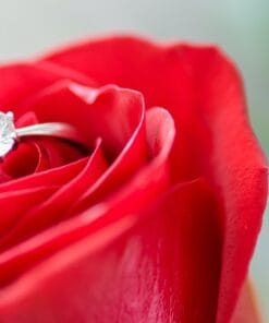 Armonización relación de pareja